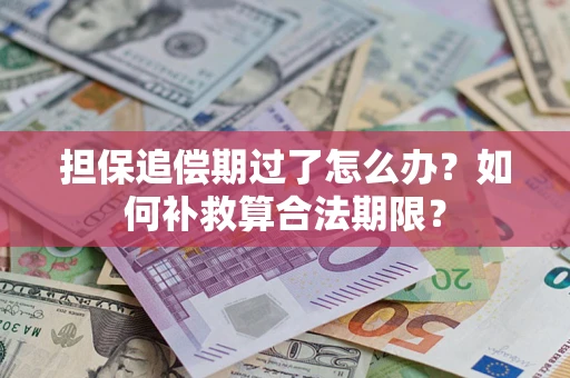 济南担保追偿期过了怎么办？如何补救算合法期限？