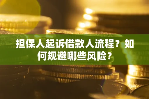 济南担保人起诉借款人流程？如何规避哪些风险？