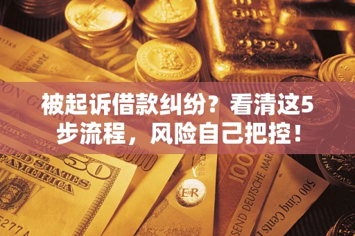 济南被起诉借款纠纷？看清这5步流程，风险自己把控！