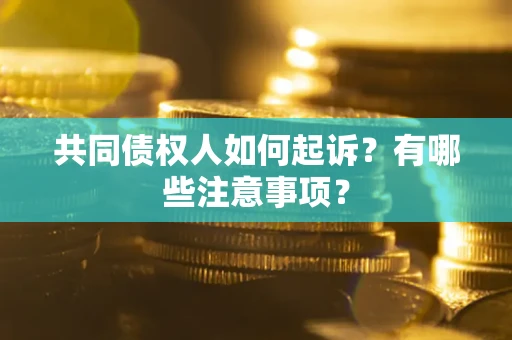 济南共同债权人如何起诉？有哪些注意事项？